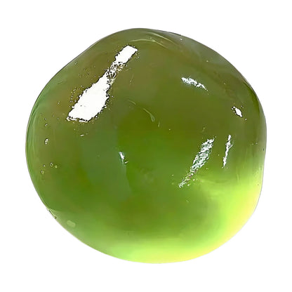 Coconut Oil Squishy